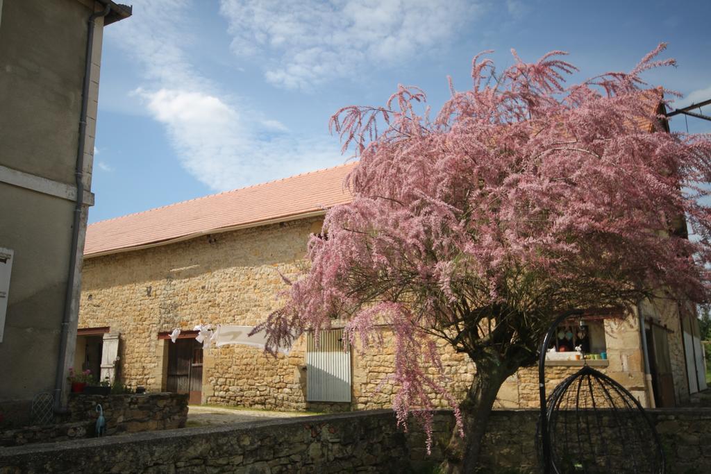 La Maison Du Bonheur Anlhiac Exteriér fotografie